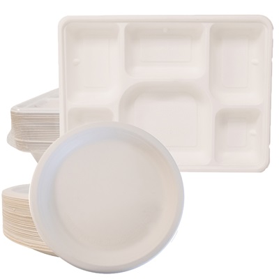 Disposable Plates 